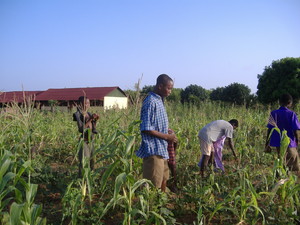 Farming